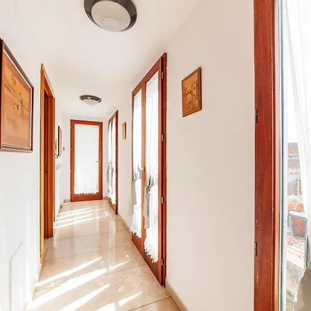 Emerald 마사루브렌세